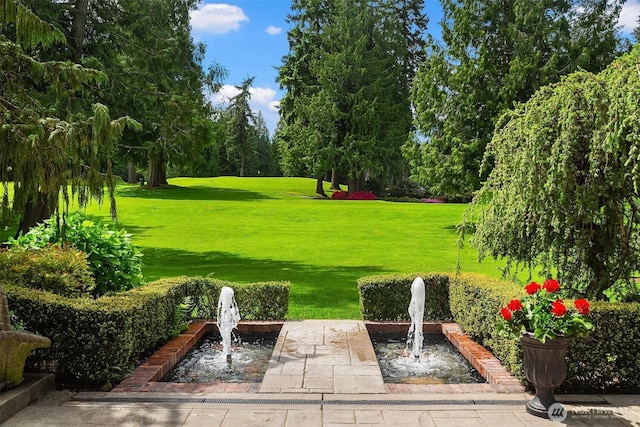 2805 Sahalee Dr E, Sammamish, WA 98074 - view of green lawn