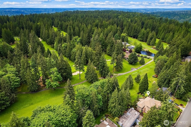 2805 Sahalee Dr E, Sammamish, WA 98074 - bird's eye view of a forest