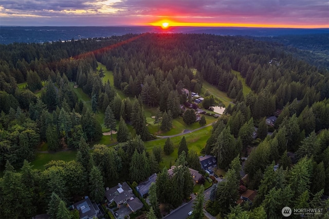 2805 Sahalee Dr E, Sammamish, WA 98074 - bird's eye view of a forest