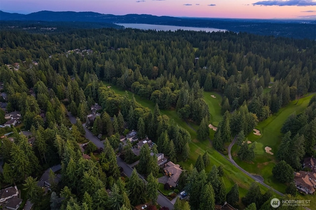 2805 Sahalee Dr E, Sammamish, WA 98074 - aerial view at dusk of a wooded view and a mountain view