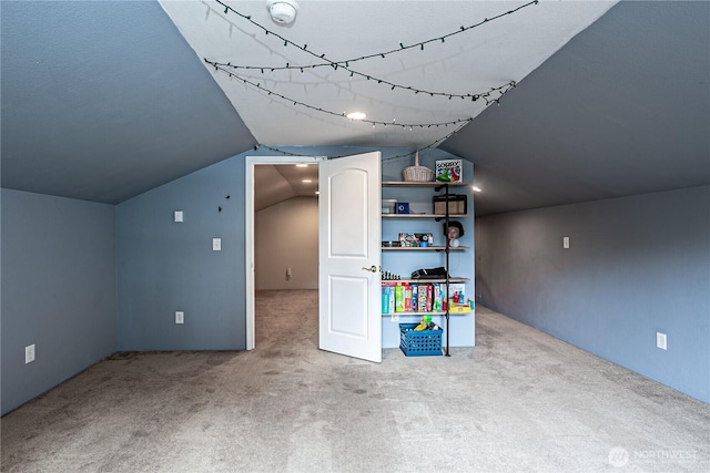 5613 89th Ave W, University Place, WA 98467 - bonus room with carpet floors and lofted ceiling