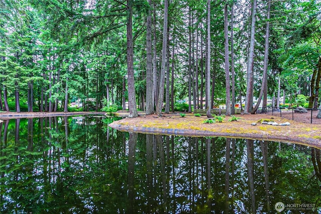 5613 89th Ave W, University Place, WA 98467 - water view featuring a forest