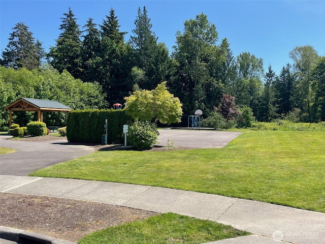 10310 25th St SE, Lake Stevens, WA 98258 - photo 11
