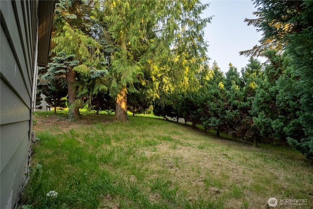 23824 100th Ave E, Graham, WA 98338 - photo 24