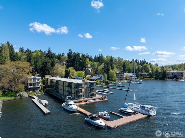 4561 Lake Washington Blvd NE Unit 303, Kirkland, WA 98033 - dock area featuring a water view