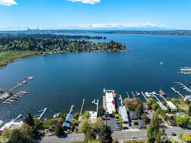 4561 Lake Washington Blvd NE Unit 303, Kirkland, WA 98033 - aerial view of a large body of water