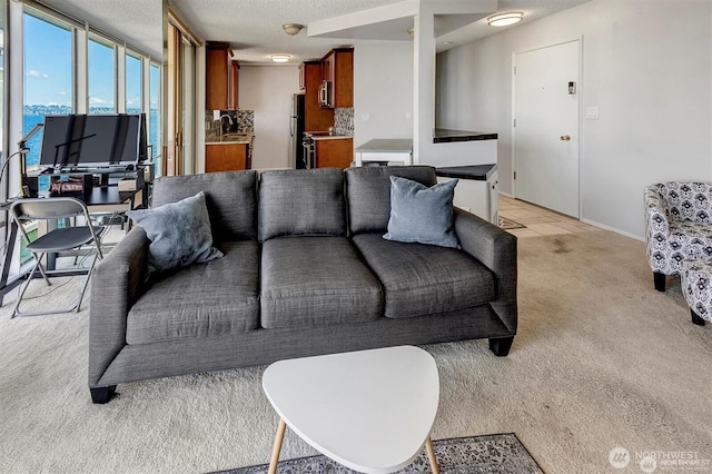 4561 Lake Washington Blvd NE Unit 303, Kirkland, WA 98033 - living room with light carpet, a textured ceiling, and baseboards