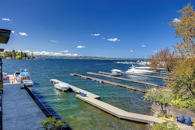 4561 Lake Washington Blvd NE Unit 303, Kirkland, WA 98033 - dock featuring a water view