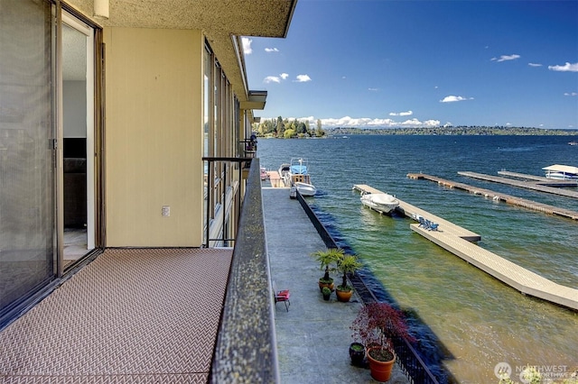 4561 Lake Washington Blvd NE Unit 303, Kirkland, WA 98033 - dock with a water view