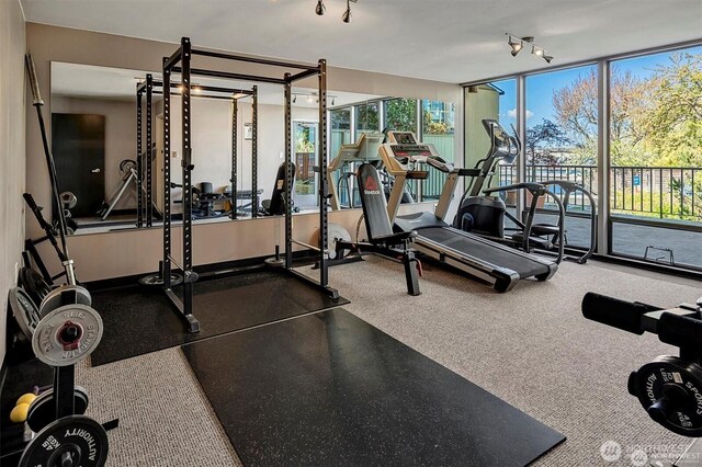 4561 Lake Washington Blvd NE Unit 303, Kirkland, WA 98033 - exercise room featuring rail lighting and expansive windows