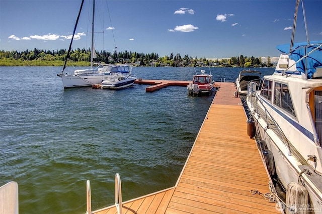 4561 Lake Washington Blvd NE Unit 303, Kirkland, WA 98033 - dock area with a water view