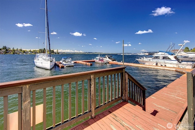 4561 Lake Washington Blvd NE Unit 303, Kirkland, WA 98033 - dock area with a water view