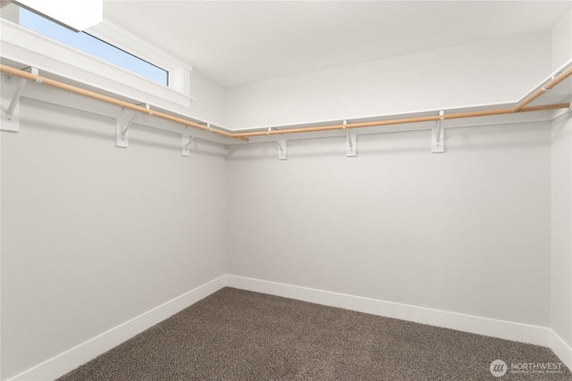 200 Pinnacle Pl, Chelan, WA 98816 - spacious closet with dark carpet