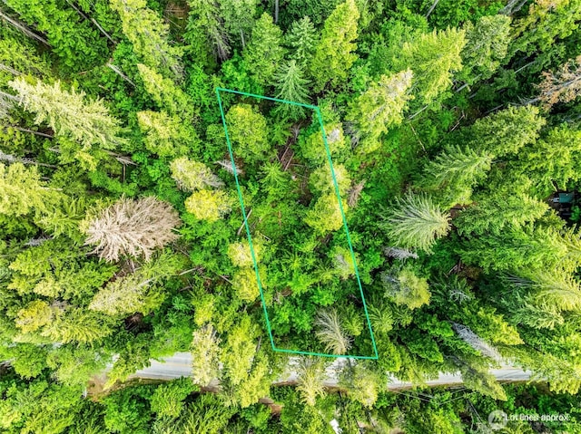 0 Cedar Brae Rd, Leavenworth, WA 98826