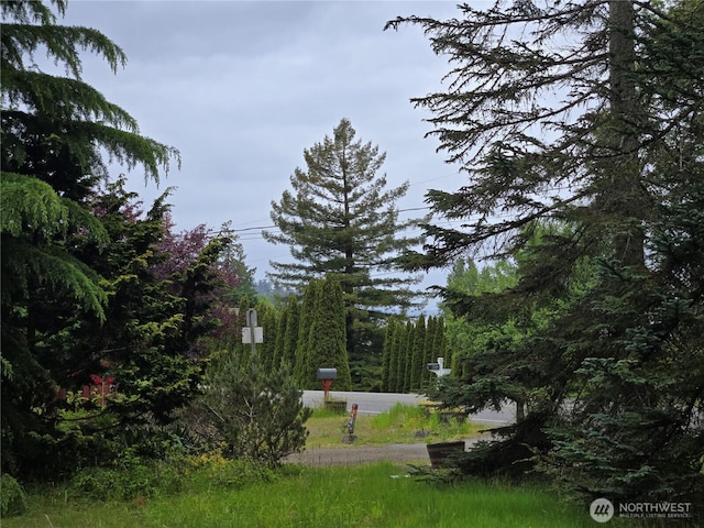 11517 SE Sedgwick Rd, Port Orchard, WA 98366 - photo 13