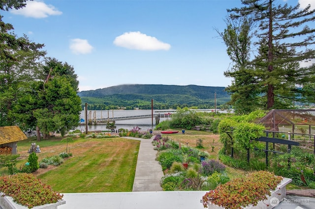 10 E Sunny Sands Rd, Cathlamet, WA 98612 - view of green lawn with a water and mountain view and a boat dock