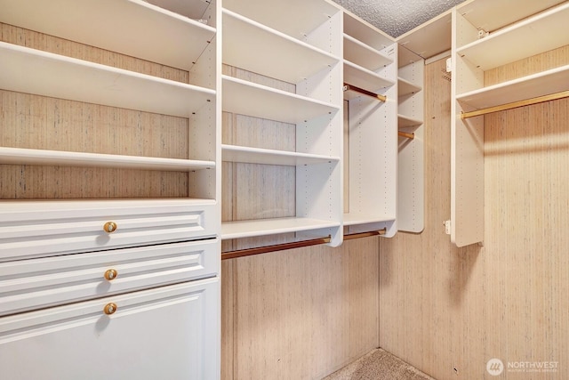 2611 S 288th St Unit 61, Federal Way, WA 98003 - view of walk in closet
