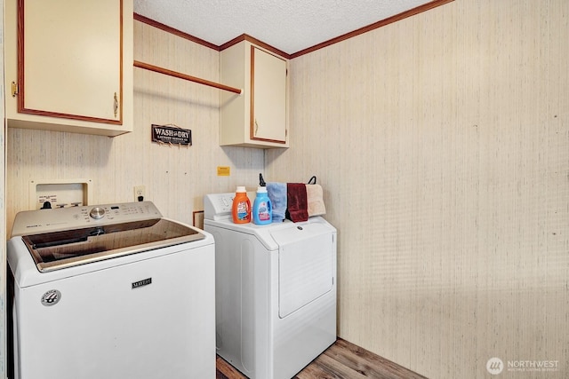 2611 S 288th St Unit 61, Federal Way, WA 98003 - laundry area with washer and clothes dryer, ornamental molding, cabinet space, light wood-style floors, and a textured ceiling