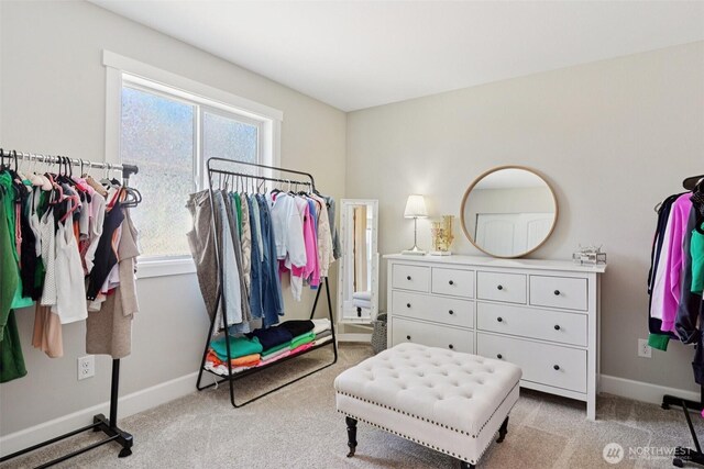 648 S Davis St, Buckley, WA 98321 - walk in closet featuring light carpet