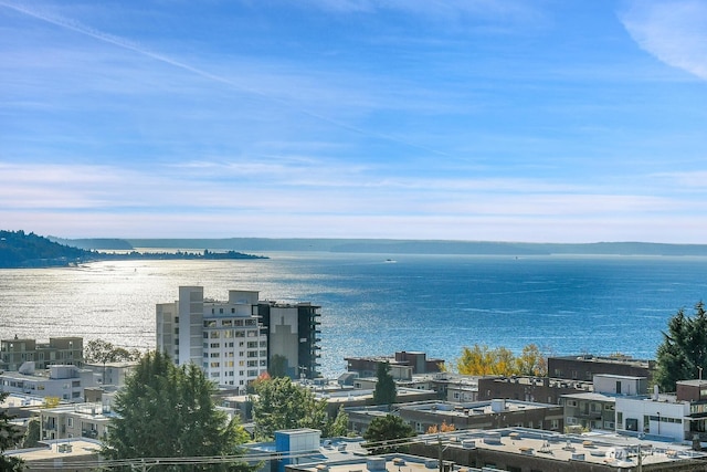 919 2nd Ave W Unit 103, Seattle, WA 98119 - water view