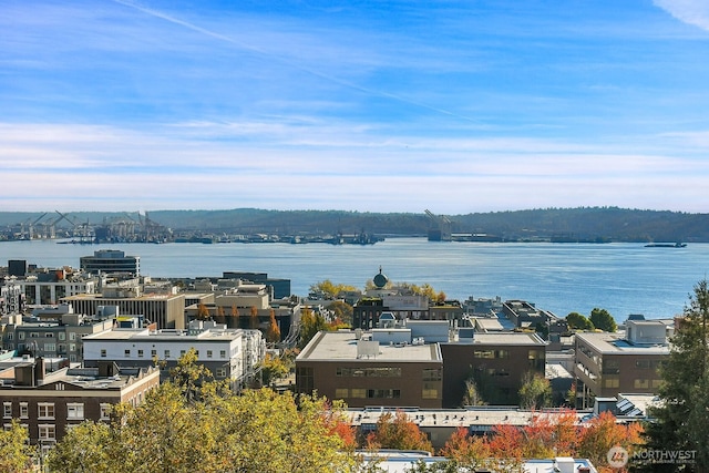 919 2nd Ave W Unit 103, Seattle, WA 98119 - water view