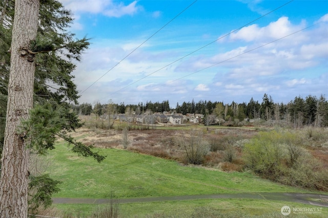 22506 SE 277th Pl, Maple Valley, WA 98038 - view of yard