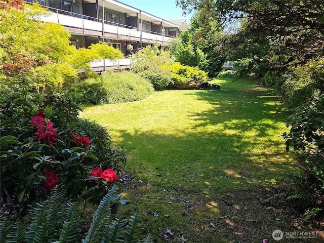 7924 212th St SW Unit 104, Edmonds, WA 98026 - view of green lawn