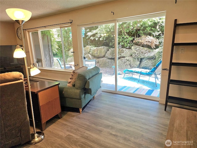 7924 212th St SW Unit 104, Edmonds, WA 98026 - living room with wood finished floors, healthy amount of natural light, and a textured ceiling