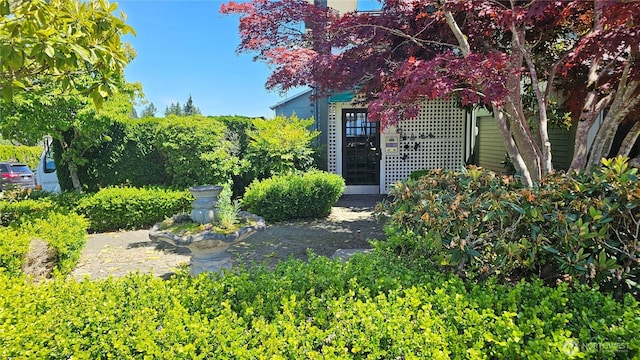 7924 212th St SW Unit 104, Edmonds, WA 98026 - view of yard
