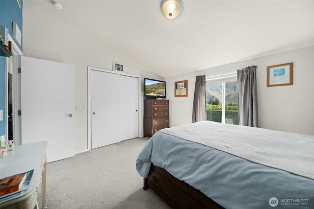 14617 Diamond Ave, Entiat, WA 98822 - bedroom with carpet floors, vaulted ceiling, and a closet