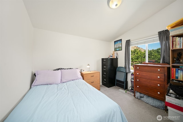 14617 Diamond Ave, Entiat, WA 98822 - bedroom with lofted ceiling and carpet flooring
