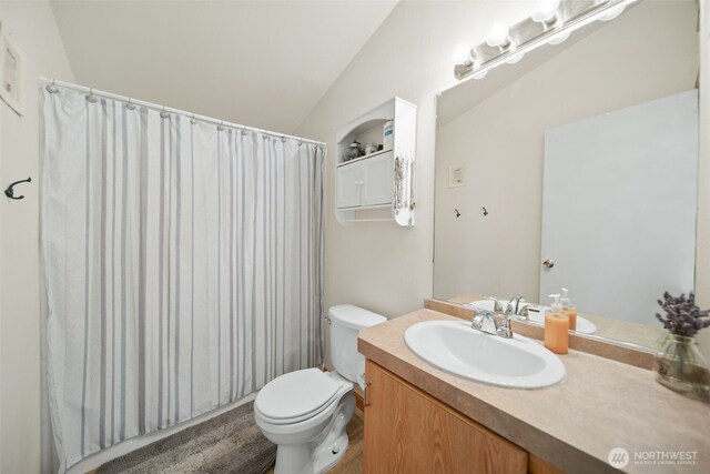 14617 Diamond Ave, Entiat, WA 98822 - bathroom featuring vanity, toilet, vaulted ceiling, and curtained shower