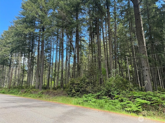 10409 Tahoma Dr, Anderson Island, Anderson Island, WA 98303
