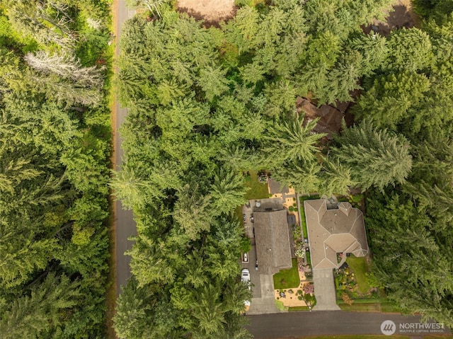 10409 Tahoma Dr, Anderson Island, Anderson Island, WA 98303