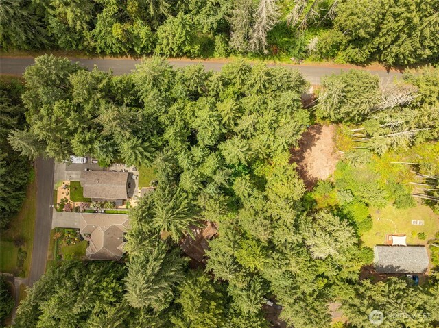 10409 Tahoma Dr, Anderson Island, Anderson Island, WA 98303