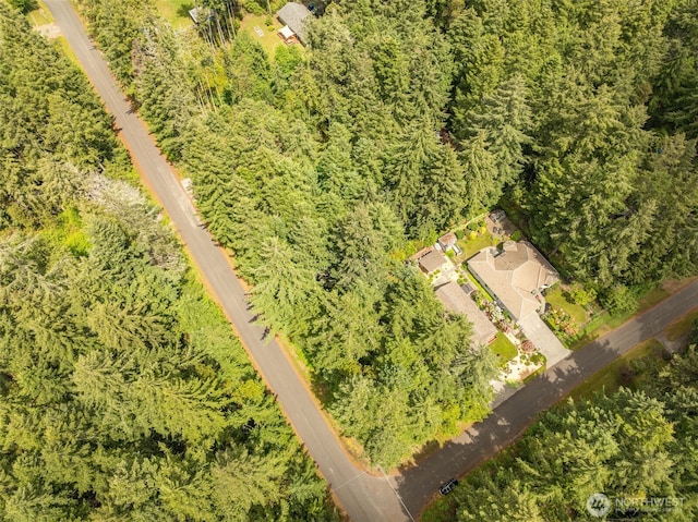 10409 Tahoma Dr, Anderson Island, Anderson Island, WA 98303