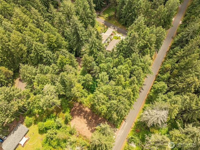 10409 Tahoma Dr, Anderson Island, Anderson Island, WA 98303