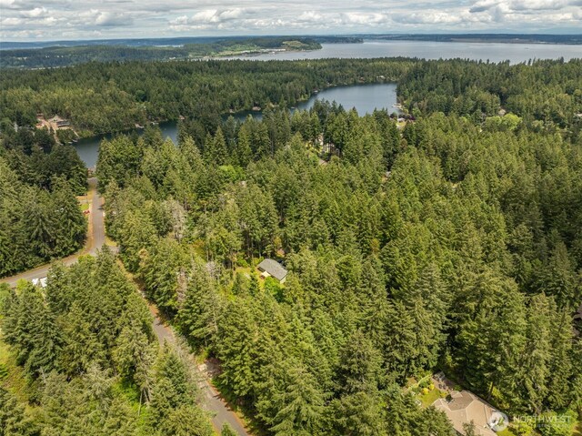 10409 Tahoma Dr, Anderson Island, Anderson Island, WA 98303