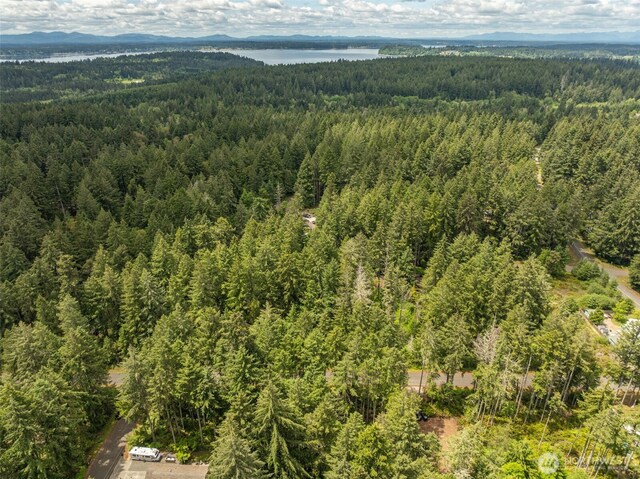 10409 Tahoma Dr, Anderson Island, Anderson Island, WA 98303