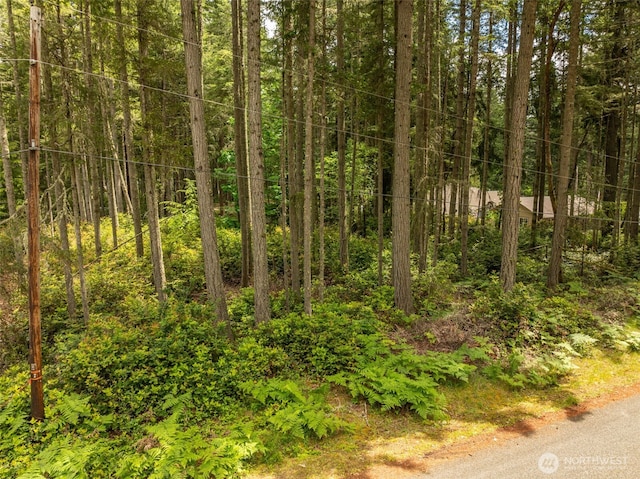 10409 Tahoma Dr, Anderson Island, Anderson Island, WA 98303