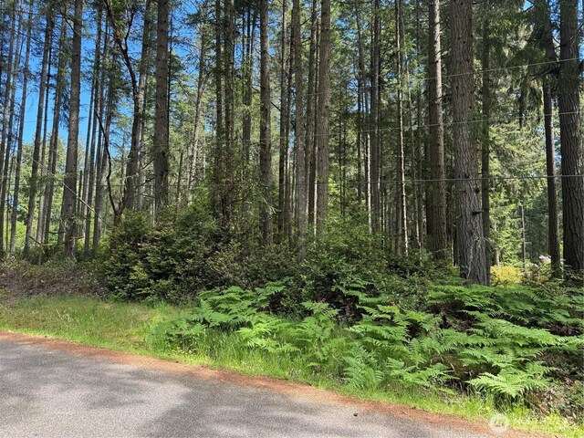 10409 Tahoma Dr, Anderson Island, Anderson Island, WA 98303