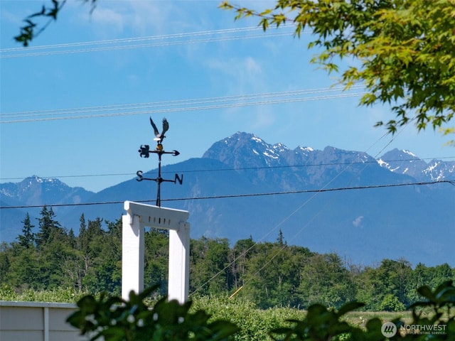 40 Cascadia Loop, Sequim, WA 98382 - view of mountain background