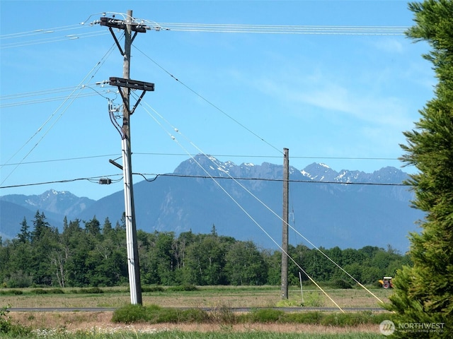 40 Cascadia Loop, Sequim, WA 98382 - view of mountain background with a heavily wooded area
