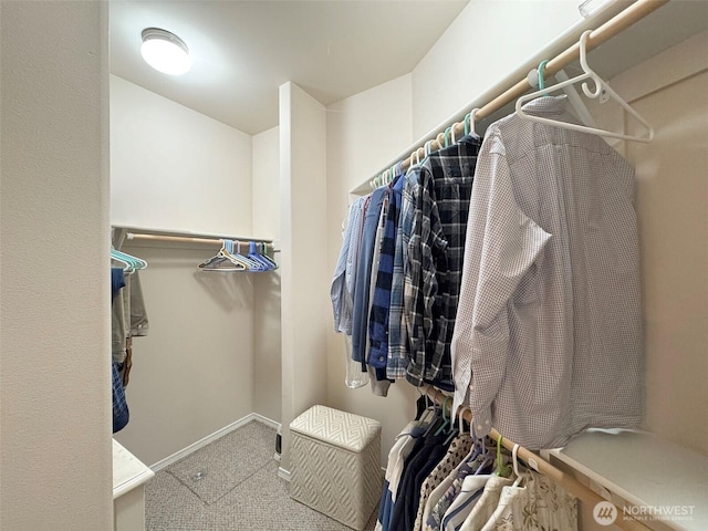 40 Cascadia Loop, Sequim, WA 98382 - walk in closet featuring carpet flooring