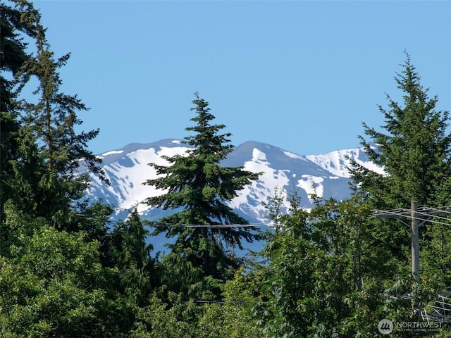 40 Cascadia Loop, Sequim, WA 98382 - mountain view