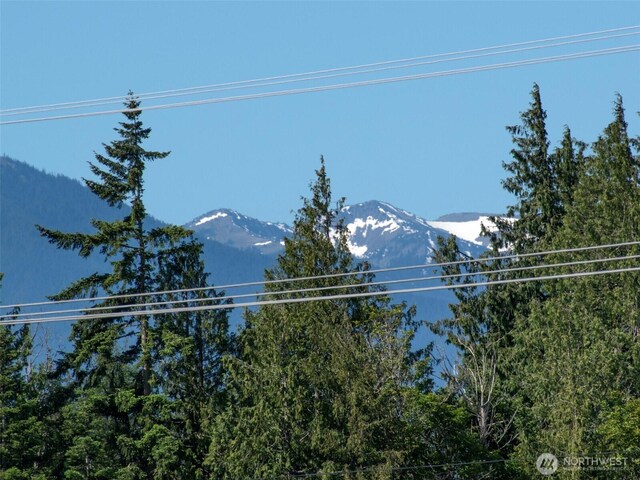 40 Cascadia Loop, Sequim, WA 98382 - view of mountain background
