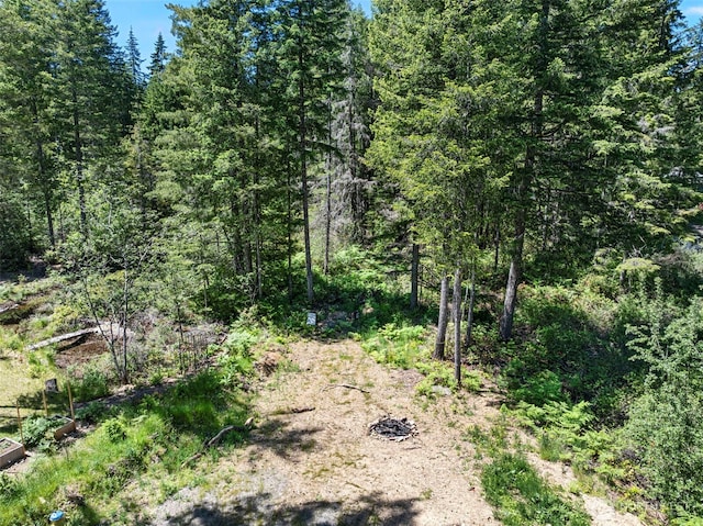 41 NE Creekview Pl, Tahuya, WA 98588