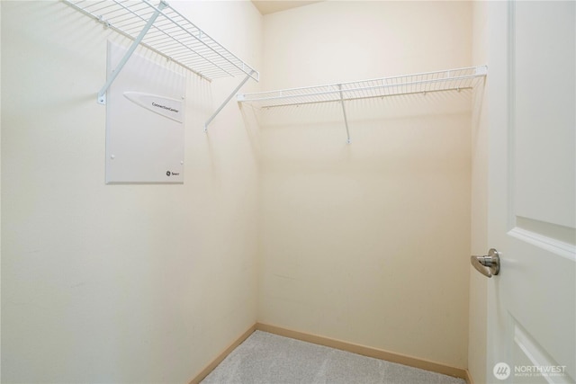 2141 NW Boulder Way Dr, Issaquah, WA 98027 - walk in closet with carpet