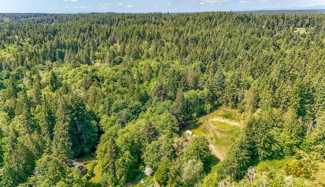 9904 Banner Rd SE, Olalla, WA 98359 - photo 1