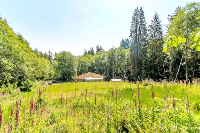 9904 Banner Rd SE, Olalla, WA 98359 - photo 5